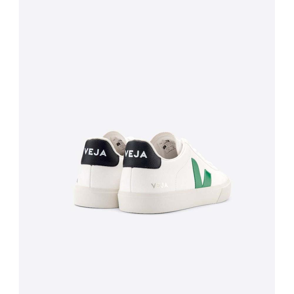 Low Tops Sneakers ανδρικα Veja CAMPO CHROMEFREE White/Black | GR 204JPQ